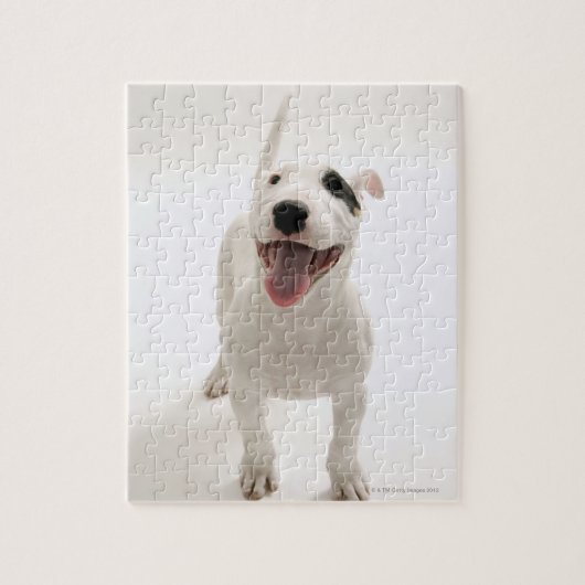 Joyful Bull Terrier Puzzle (Vertikal)
