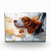 Joyful Dog in Wind Art Print Fotoblock (Vorderseite)