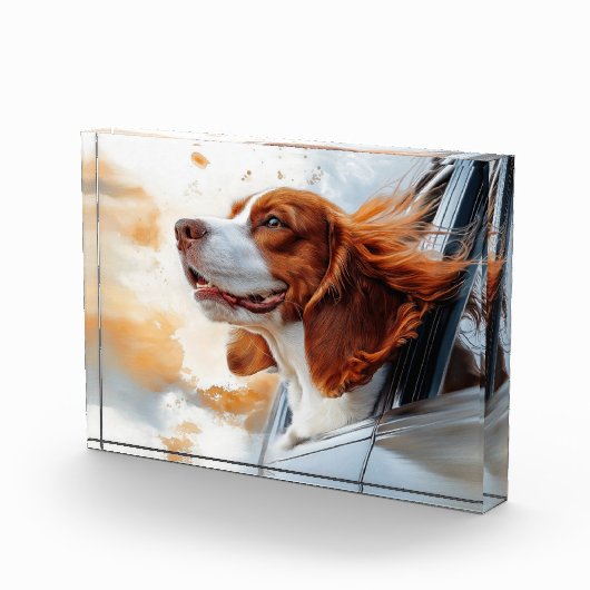 Joyful Dog in Wind Art Print Fotoblock (Rechts)