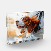 Joyful Dog in Wind Art Print Fotoblock (Links)