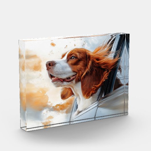 Joyful Dog in Wind Art Print Fotoblock (Links)