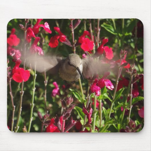 Joyful Hummingbird Mousepad (Vorne)