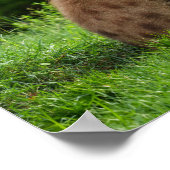 Joyful Hyena Amidst Greenery Poster (Ecke)
