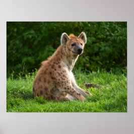 Joyful Hyena Amidst Greenery Poster