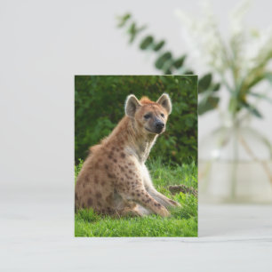 Joyful Hyena Amidst Greenery Postkarte