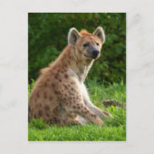 Joyful Hyena Amidst Greenery Postkarte (Vorderseite)