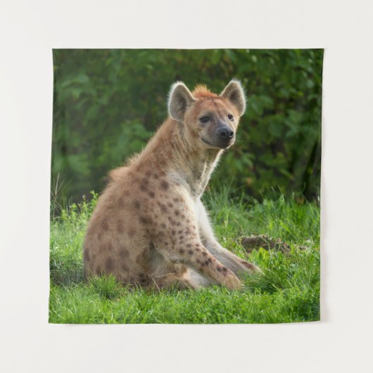 Joyful Hyena Amidst Greenery Wandteppich (Vorderseite)