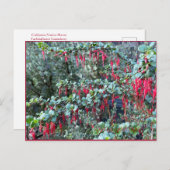 JOYFUL JANUARY! POSTKARTE (Vorne/Hinten)