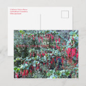 JOYFUL JANUARY! POSTKARTE (Vorne/Hinten)