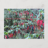 JOYFUL JANUARY! POSTKARTE (Vorderseite)