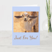 Joyful Little Goat Birthday Karte (Vorderseite)