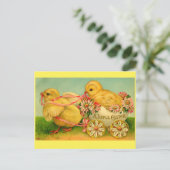 Joyful Oaster Chicks Postkarte (Stehend Vorderseite)