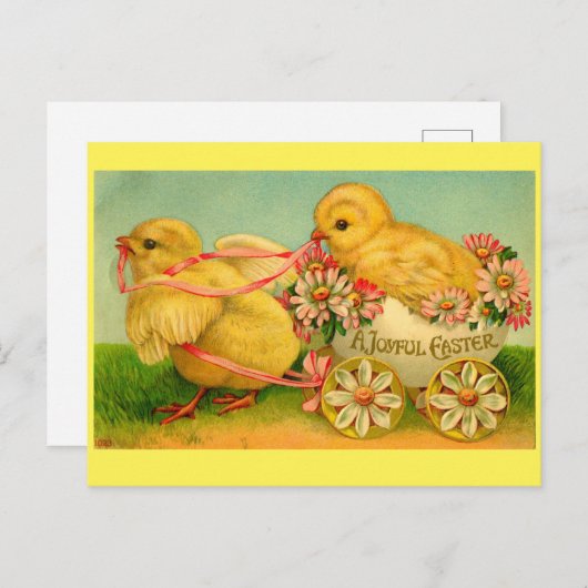 Joyful Oaster Chicks Postkarte (Vorne/Hinten)