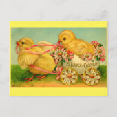 Joyful Oaster Chicks Postkarte (Vorderseite)
