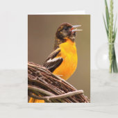 Joyful Oriole Birthday Karte (Vorderseite)