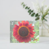 Joyful Rusty Red Sunflower Postkarte (Stehend Vorderseite)