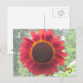 Joyful Rusty Red Sunflower Postkarte (Vorne/Hinten)