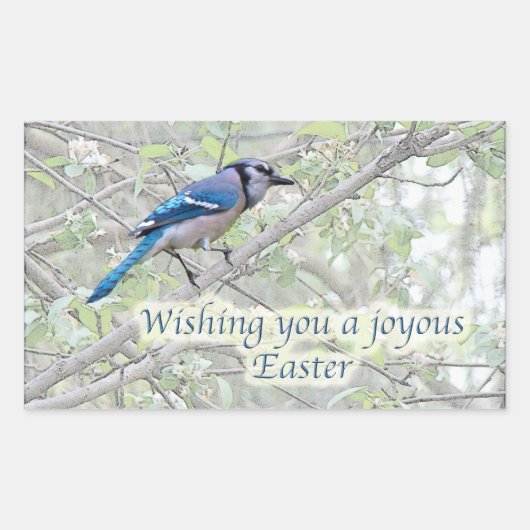 Joyous Easter Blue Jay Songbird Rechteckiger Aufkleber (Vorderseite)