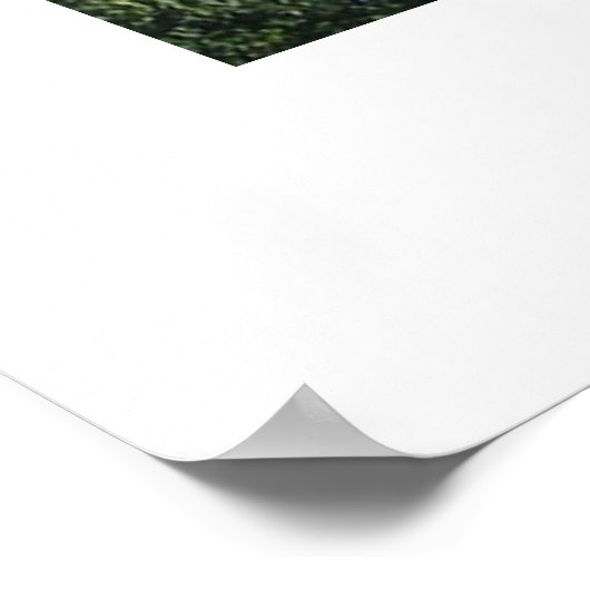 JS12 POSTER (Ecke)