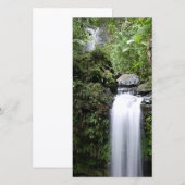 Juan Diego Falls (Vorne/Hinten)