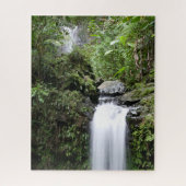 Juan Diego Falls Puzzle (Vertikal)