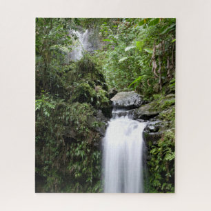 Juan Diego Falls Puzzle