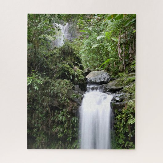 Juan Diego Falls Puzzle (Vertikal)