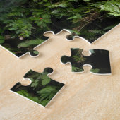 Juan Diego Falls Puzzle (Seite)