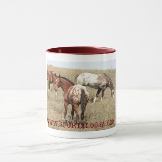 Jubelt sportaloosa zu tasse (Zentrum)