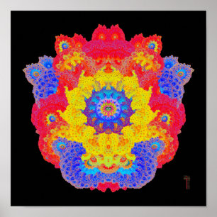 Jubilant Face of Foo (12 von 12) Art Print Poster