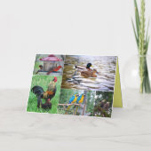 Jubiläum des Bird Pairs glücklich Karte (Rückseite)