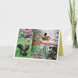 Jubiläum des Bird Pairs glücklich Karte