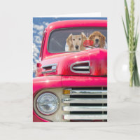 Jubiläum Goldene Retrievers im Retro-LKW