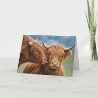 Jubiläum Highland-Kuh Kuss