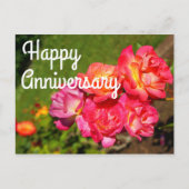 Jubiläum Joseph's Coat Rose #1 Postkarte (Vorderseite)