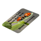 Jubiläum Ladybugs Foto Magnet (Linke Seite)