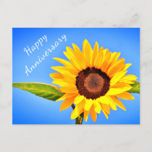 Jubiläum Postcard Gelbe Sonnenblume auf blauem Him Postkarte