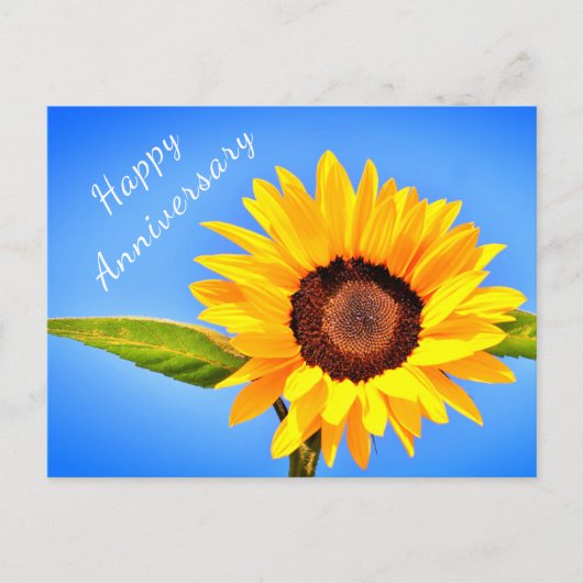 Jubiläum Postcard Gelbe Sonnenblume auf blauem Him Postkarte (Vorderseite)