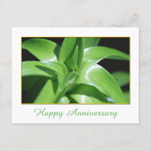 Jubiläum von Fresh Spring Green Lilie verlasse Postkarte