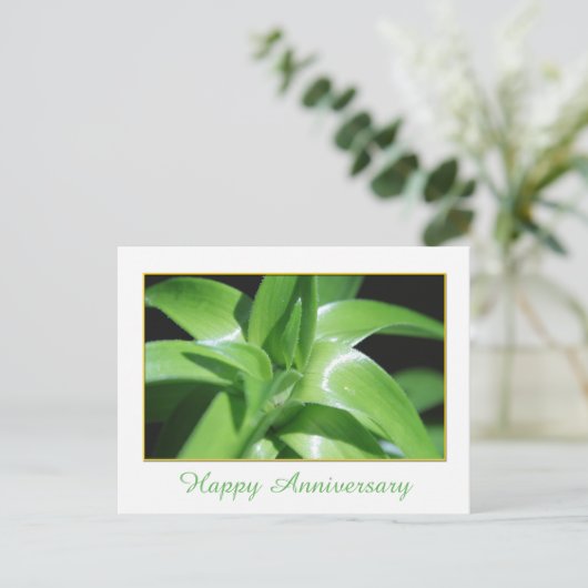 Jubiläum von Fresh Spring Green Lilie verlasse Postkarte (Stehend Vorderseite)