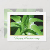 Jubiläum von Fresh Spring Green Lilie verlasse Postkarte (Vorne/Hinten)