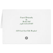 Jubiläum wünscht Landschaftliches Bild (Rückseite Horizontal)