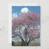 Jubiläumseinladung zur Kirschblüte Einladung (Vorderseite)