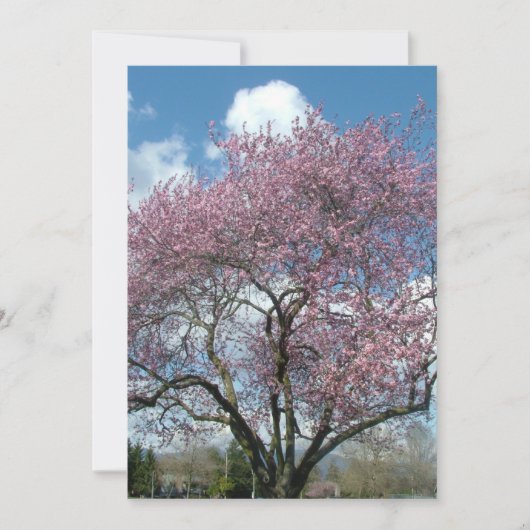 Jubiläumseinladung zur Kirschblüte Einladung (Vorderseite)