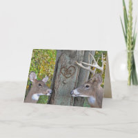 Jubiläumsfeier Buck and Doe Liebe