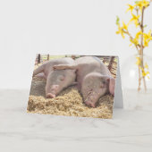 Jubiläumsfeier von Schweinen in Pen Karte (Gelbe Blume)