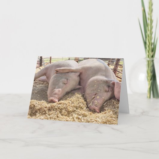 Jubiläumsfeier von Schweinen in Pen Karte (Vorderseite)