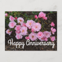 Jubiläumsjubiläum Jeanne LaJoie Rose #1 Postcard