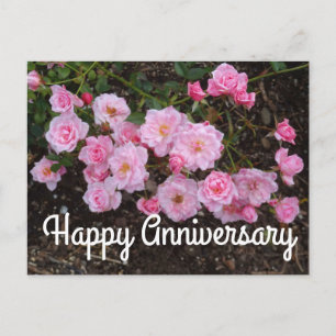 Jubiläumsjubiläum Jeanne LaJoie Rose #1 Postcard Postkarte