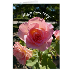 Jubiläumskarte für die strahlend rosa Tee-Rose